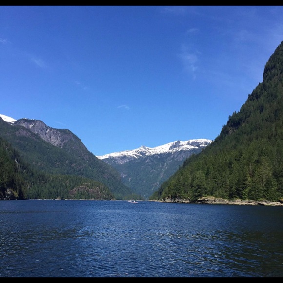 Meet your Posher, Julia - Picture 1 of 1